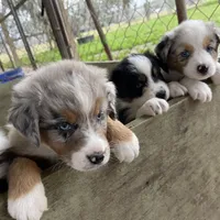 processed/513182f7-c56d-4630-b124-58013bcecbb8/facility/b098f418-5b4b-4de3-8145-218ec912e8eb