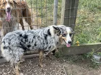 processed/513182f7-c56d-4630-b124-58013bcecbb8/listing/025cfc16-7715-4a82-ace7-c7bf268bc2e6/3d6510a6-85c0-4714-9a84-83aaebd30032