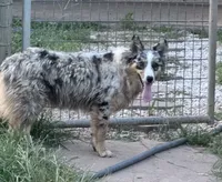 processed/513182f7-c56d-4630-b124-58013bcecbb8/listing/025cfc16-7715-4a82-ace7-c7bf268bc2e6/7b97c2b2-a338-4b24-95f9-3c37de8c48e4