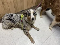 processed/513182f7-c56d-4630-b124-58013bcecbb8/listing/025cfc16-7715-4a82-ace7-c7bf268bc2e6/92c9b479-aaf8-47cb-a0d1-9f06c1b17000