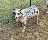 processed/513182f7-c56d-4630-b124-58013bcecbb8/listing/025cfc16-7715-4a82-ace7-c7bf268bc2e6/976dcbcd-94df-49a3-a484-6130991dda41