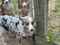 processed/513182f7-c56d-4630-b124-58013bcecbb8/listing/025cfc16-7715-4a82-ace7-c7bf268bc2e6/9b36a660-e674-427a-bdf2-d486ee943679