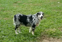 processed/513182f7-c56d-4630-b124-58013bcecbb8/listing/29a555cc-493f-45b4-b099-c88b1f074da3/0a9c1c6a-3470-4eb4-b4a1-cfcd15bb712a