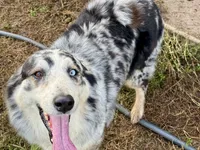 processed/513182f7-c56d-4630-b124-58013bcecbb8/listing/29a555cc-493f-45b4-b099-c88b1f074da3/2f41723c-ff7a-4e5b-b42c-dacc2b324f45