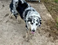 processed/513182f7-c56d-4630-b124-58013bcecbb8/listing/29a555cc-493f-45b4-b099-c88b1f074da3/8e7bca96-57d7-4f81-98b9-7cea9cc14312