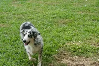 processed/513182f7-c56d-4630-b124-58013bcecbb8/listing/29a555cc-493f-45b4-b099-c88b1f074da3/938de651-a977-429e-8072-8b89eb766aef