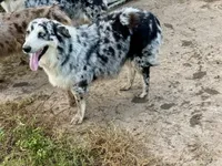 processed/513182f7-c56d-4630-b124-58013bcecbb8/listing/29a555cc-493f-45b4-b099-c88b1f074da3/a1a2d9ec-29e7-4c84-a1cc-c64e1c6d8460