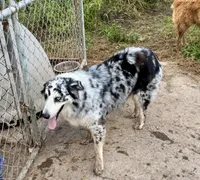 processed/513182f7-c56d-4630-b124-58013bcecbb8/listing/29a555cc-493f-45b4-b099-c88b1f074da3/afec3c17-5b01-4862-8a88-01a98be4bb49