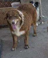 processed/513182f7-c56d-4630-b124-58013bcecbb8/listing/45efba0b-d638-4c43-aece-0650f1e8eb9c/09f7b6fa-a75d-4d8e-8e35-bd360e83aca4