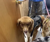 processed/513182f7-c56d-4630-b124-58013bcecbb8/listing/45efba0b-d638-4c43-aece-0650f1e8eb9c/4555d204-b36b-45f8-8330-c111e9b80644