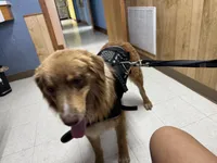 processed/513182f7-c56d-4630-b124-58013bcecbb8/listing/45efba0b-d638-4c43-aece-0650f1e8eb9c/6619d2cf-718f-4bea-9d73-58a74ed75d53