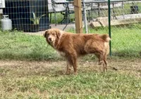 processed/513182f7-c56d-4630-b124-58013bcecbb8/listing/45efba0b-d638-4c43-aece-0650f1e8eb9c/73fa86af-8b3b-4675-a442-009e98a7d939