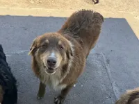 processed/513182f7-c56d-4630-b124-58013bcecbb8/listing/45efba0b-d638-4c43-aece-0650f1e8eb9c/7fcaa779-5cf3-47fa-a3f2-fb488649be4c