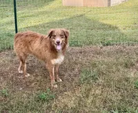 processed/513182f7-c56d-4630-b124-58013bcecbb8/listing/45efba0b-d638-4c43-aece-0650f1e8eb9c/cef70337-e085-4a5e-855d-ffab467e6a01