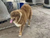 processed/513182f7-c56d-4630-b124-58013bcecbb8/listing/45efba0b-d638-4c43-aece-0650f1e8eb9c/eabc7c56-4370-44b5-babe-b7fd3bc92d57