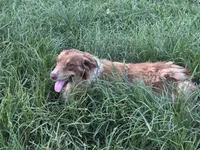 processed/513182f7-c56d-4630-b124-58013bcecbb8/listing/45efba0b-d638-4c43-aece-0650f1e8eb9c/f5438776-8640-4347-bf73-67eec537139b