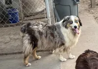 processed/513182f7-c56d-4630-b124-58013bcecbb8/listing/666e163f-ffc6-4762-8b54-cbd1e16111ac/1957ea00-77e7-45ec-960d-50ea78514be3