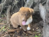 processed/513182f7-c56d-4630-b124-58013bcecbb8/listing/ada8b5e3-e509-4e73-997e-2482550ad887/0160adef-d37c-4730-8ee7-f19f6c123a26