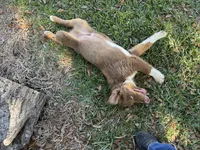 processed/513182f7-c56d-4630-b124-58013bcecbb8/listing/ada8b5e3-e509-4e73-997e-2482550ad887/0c3b3894-eef8-408e-b420-6fbbaf729e41