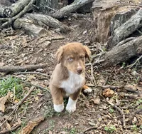 processed/513182f7-c56d-4630-b124-58013bcecbb8/listing/ada8b5e3-e509-4e73-997e-2482550ad887/17ef19b2-c6a8-4311-bcfc-908ac0ef5a03