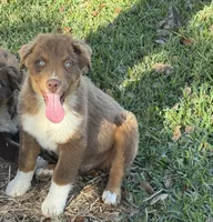 processed/513182f7-c56d-4630-b124-58013bcecbb8/listing/ada8b5e3-e509-4e73-997e-2482550ad887/4e3a7507-cef0-4813-8f9e-0b220821fc98