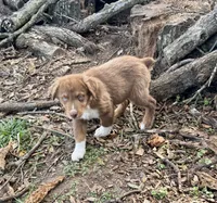 processed/513182f7-c56d-4630-b124-58013bcecbb8/listing/ada8b5e3-e509-4e73-997e-2482550ad887/5e31f5db-8bee-484c-8107-3126a1e033cf