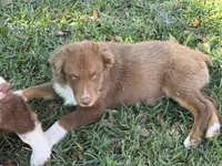 processed/513182f7-c56d-4630-b124-58013bcecbb8/listing/ada8b5e3-e509-4e73-997e-2482550ad887/65286549-76f4-44ca-a8cf-646006f14bf1