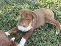 processed/513182f7-c56d-4630-b124-58013bcecbb8/listing/ada8b5e3-e509-4e73-997e-2482550ad887/7ba044cc-a9f3-4f34-a2a1-de977ee1c825