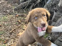 processed/513182f7-c56d-4630-b124-58013bcecbb8/listing/ada8b5e3-e509-4e73-997e-2482550ad887/bdb42a2b-7549-4b60-b3ef-44f91d64b6e4