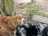 processed/513182f7-c56d-4630-b124-58013bcecbb8/listing/cdc84f96-3c96-4bf9-8e21-8ad70acd32b4/06145a0d-4065-4c64-8e61-5e6f15686985