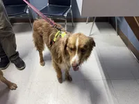 processed/513182f7-c56d-4630-b124-58013bcecbb8/listing/cdc84f96-3c96-4bf9-8e21-8ad70acd32b4/68c87b66-c335-4889-abca-c8832ffca542