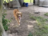 processed/513182f7-c56d-4630-b124-58013bcecbb8/listing/cdc84f96-3c96-4bf9-8e21-8ad70acd32b4/af30d7b2-ec31-457f-a5f5-ef89d911d6c0