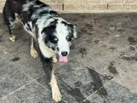 processed/513182f7-c56d-4630-b124-58013bcecbb8/listing/db75f9fc-ef0d-4ba0-9265-e528d9331843/2eed6ef1-6c1c-48e2-9ee2-18316a40e4ca