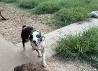 processed/513182f7-c56d-4630-b124-58013bcecbb8/listing/db75f9fc-ef0d-4ba0-9265-e528d9331843/3146a1dc-e657-4e10-9b75-c06c0ad948fb