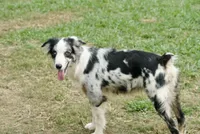 processed/513182f7-c56d-4630-b124-58013bcecbb8/listing/db75f9fc-ef0d-4ba0-9265-e528d9331843/47af8cab-8be3-4d13-9cbf-8bcf40f6d5d1