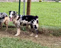 processed/513182f7-c56d-4630-b124-58013bcecbb8/listing/db75f9fc-ef0d-4ba0-9265-e528d9331843/52bcadee-7f96-4ff8-9d82-4988ab0faa39