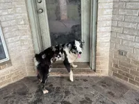 processed/513182f7-c56d-4630-b124-58013bcecbb8/listing/db75f9fc-ef0d-4ba0-9265-e528d9331843/feb037b7-65ef-434a-8297-c6a2ce1e6477