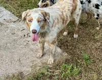 processed/513182f7-c56d-4630-b124-58013bcecbb8/listing/f68fc01c-e047-4acb-883c-7096bc441b10/f54d3f10-3b59-4178-9000-a9ebe49854b2