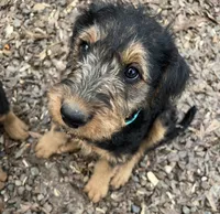 processed/51370003-22e1-4875-9c5b-7e7af9b0ff33/listing/23c24734-8104-4844-bc8b-f535c2e1f471/02ac2d29-8320-45e4-8ee5-efef880539d9