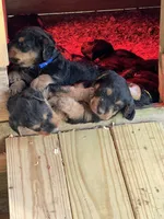 processed/51370003-22e1-4875-9c5b-7e7af9b0ff33/listing/23c24734-8104-4844-bc8b-f535c2e1f471/11b1b91e-450e-45fc-9f58-4db9aab1f20f