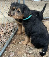 processed/51370003-22e1-4875-9c5b-7e7af9b0ff33/listing/23c24734-8104-4844-bc8b-f535c2e1f471/aafb02ca-0aea-4a4d-9436-6d5b0cb316c3