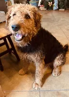 processed/51370003-22e1-4875-9c5b-7e7af9b0ff33/listing/23c24734-8104-4844-bc8b-f535c2e1f471/bcdf8863-1e8f-47eb-9269-651747365123