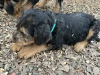 processed/51370003-22e1-4875-9c5b-7e7af9b0ff33/listing/23c24734-8104-4844-bc8b-f535c2e1f471/cb888a6f-7f90-4266-994c-f69e5df4b0a2