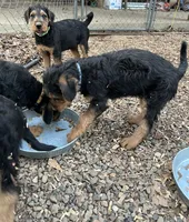 processed/51370003-22e1-4875-9c5b-7e7af9b0ff33/listing/310cfd37-3b18-4ff9-b8fd-1a0b93339f77/1679d328-8a71-4c54-87e2-e708323ad6da