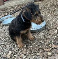 processed/51370003-22e1-4875-9c5b-7e7af9b0ff33/listing/310cfd37-3b18-4ff9-b8fd-1a0b93339f77/68067d3e-6457-4f45-bcfc-a55caf2c7814