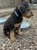 processed/51370003-22e1-4875-9c5b-7e7af9b0ff33/listing/310cfd37-3b18-4ff9-b8fd-1a0b93339f77/9021cec6-ff0c-4a15-b1ea-b8abcc134430