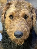 processed/51370003-22e1-4875-9c5b-7e7af9b0ff33/listing/c70fed56-d4b0-49b7-9e43-b15628b90e7b/023a5e99-0454-4914-b8a1-6a14b55bdf9b