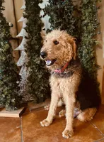 processed/51370003-22e1-4875-9c5b-7e7af9b0ff33/listing/c70fed56-d4b0-49b7-9e43-b15628b90e7b/03c93b97-386b-4eee-aaa4-08ab9d3d248e