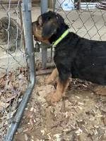 processed/51370003-22e1-4875-9c5b-7e7af9b0ff33/listing/c70fed56-d4b0-49b7-9e43-b15628b90e7b/13f5e34d-cb45-4c80-b0df-5552504e8287