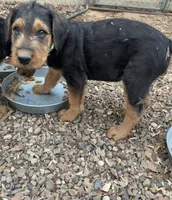 processed/51370003-22e1-4875-9c5b-7e7af9b0ff33/listing/c70fed56-d4b0-49b7-9e43-b15628b90e7b/17938eee-24d5-40e7-b41a-84f2528c0a71